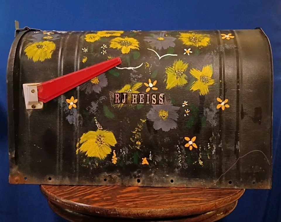 Buzón primitivo JUMBO de colección galvanizado negro Tole pintado flores silvestres 24"x15 Foto 1 de 4