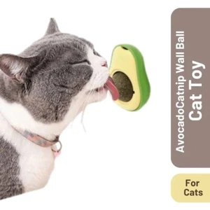 Avocado Catnip Wall Ball Cat Toy - Picture 1 of 6