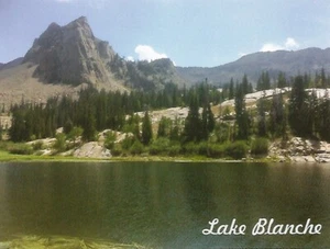 Postcard Utah Huntsville Lake Blanche Weber County Unused MINT  - Picture 1 of 1