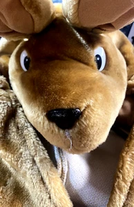 Child’s Kangaroo Costume With Baby Roo In A Pouch For Dress Up And Play - Picture 1 of 10