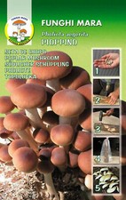 1 Confezione da 20 CHIODI DI MICELIO - Pioppino