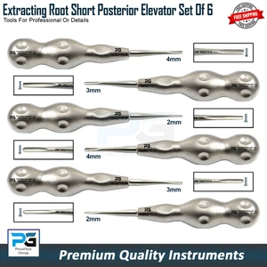 Root Elevator Short Posterior Extraction Elevators Oral Surgery Instruments Set - Picture 1 of 8