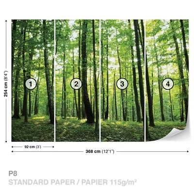Papel Pintado Mural para Hogar Oficina Vivero Bosque Verde Árbol Naturaleza Foto 1 de 4