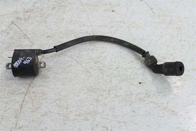 2002 Arctic Cat 400 4 x 4 ручной зажигания катушка свечи зажигания загрузки  - Изображение 1 из 4