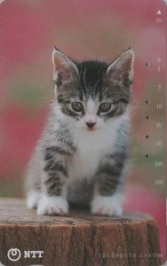 Télécarte JAPON - ANIMAL - CHAT Chaton - CAT  Kitten JAPAN phonecard - Imagen 1 de 1