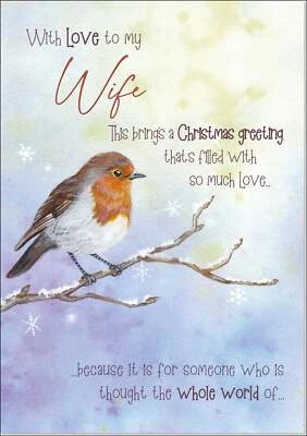 Doodlecards Wife Christmas Card Watercolour Robin In The Frost