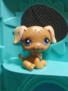 Littlest Pet Shop LPS Authentic #951 Golden Retriever Dog Brown Cream Blue Eyes - Picture 1 of 3