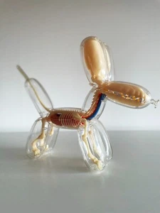 4D Master Jason Freeny 4 Inch Anatomy Balloon Dog Clear Mini Version - Imagen 1 de 2