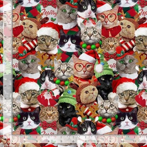 Christmas Cat Fabric By The Yard Holiday Cats Cotton Timeless Treasures CD3498 - Picture 1 of 1