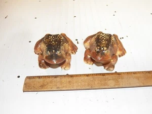 Vintage VICTORIA CERAMICS Bull Frog Salt and Pepper Shakers - Picture 1 of 8