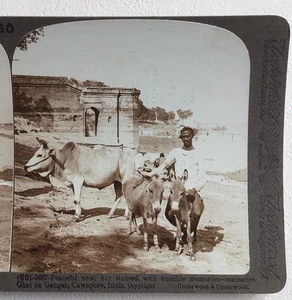Site Of The Massacre Ghat On Ganges Cawnpore India Stereoview Card Photo - Picture 1 of 3