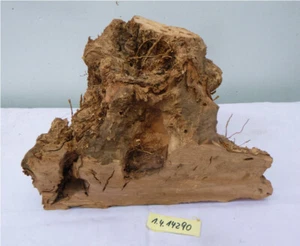 Olive Olivenholz Drechselholz Wurzelholz Rohling Bohlen Bretter Baumscheibe - Bild 1 von 4
