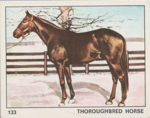 Top Sellers Card - Animals of The World - Card No 133 - Thoroughbred Horse - Picture 1 of 2