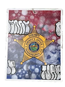 Pintura original de arte de graffiti de 18x14 en letrero de metal del sheriff de la policía de NSANE - Imagen 1 de 9