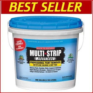1 Gallon Sunnyside Multi-Strip: Advanced Paint Remover for Interior & Exterior - Picture 1 of 2