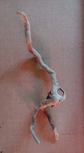 Treibholz SKULPTUR Astloch Stein Schwemm Holz Dekoration Basteln Deko Material  - Bild 1 von 11