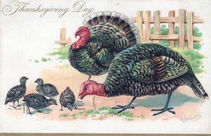 THANKSGIVING - Reiche signierte Postkarte mit zwei Truthähnen und Küken - Bild 1 von 2