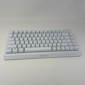 Razer BlackWidow V4 75% Mechanical Orange Switch Gaming (White Edition) Tested - Picture 1 of 20