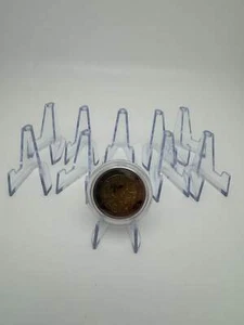 Acryl Münzständer Aussteller Set 10x Münzen präsentieren - Bild 1 von 2