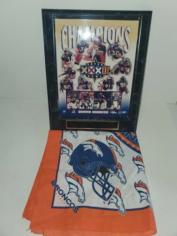 Rare Vintage Authentic 1997 Denver Broncos Super Bowl Champions Plaque& flag NFL Cover