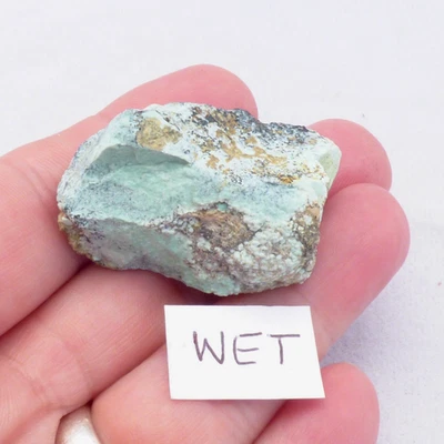 Solid Turquoise Mineral Specimen  Island Park Idaho Natural Unpolished 4cm 19g - Image 1 of 4