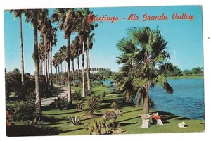 RESACAS Men Sombreros Siesta Rio Grande Valley Palm Trees Texas Postcard TX 1963 - Picture 1 of 2
