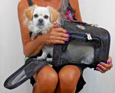 AIRLINE TRAVEL ONLINE PET CARRIER HEARTS  Pattern AIRLINE Dog OR Cat CARRIER - Image 1 of 2