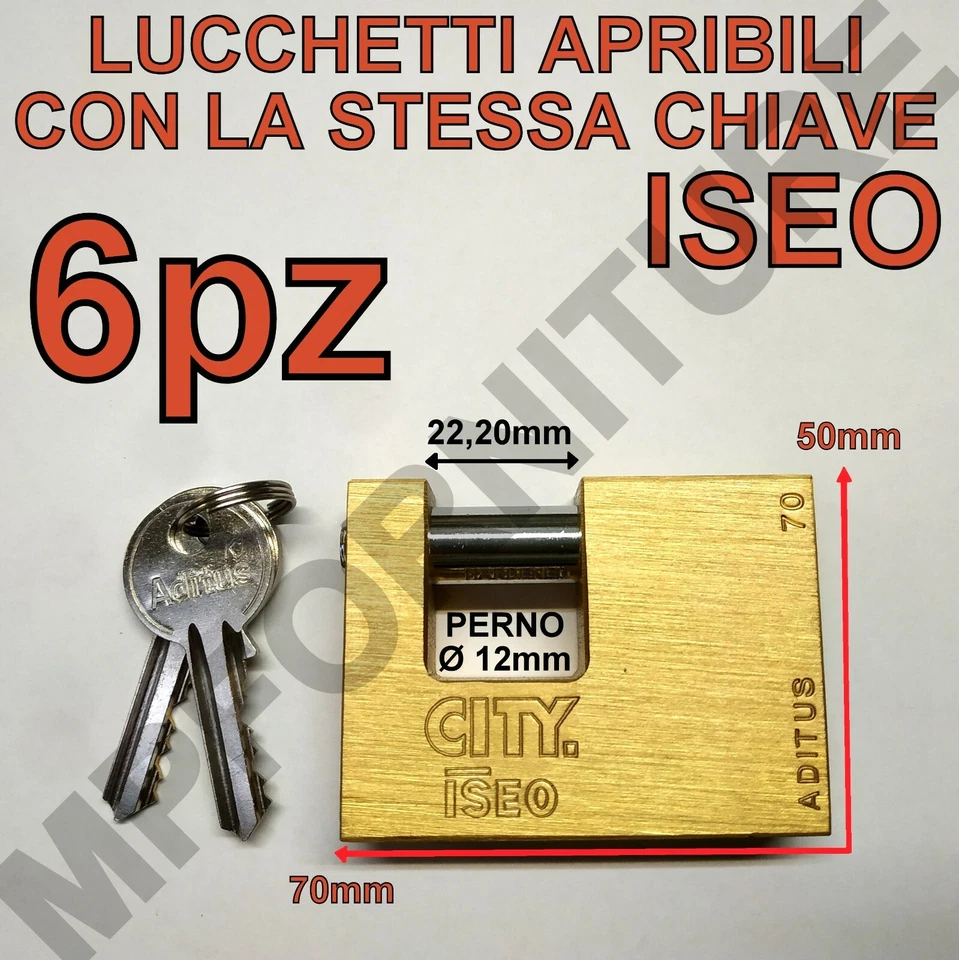 6 LUCCHETTI ISEO APRIBILI CON LA STESSA CHIAVE UNICA STESSE CHIAVI UGUALI 70 KA
