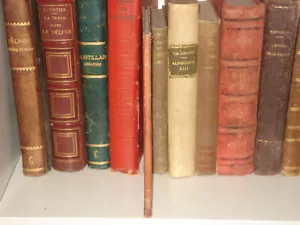 libri antichi e da collezione dal 1800 al 1899 libro volumi rari ottocentine - Foto 1 di 24