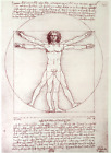 Vitruvian Man Canon Of Proportions Leonardo Da Vinci 1935 German Book Print Art