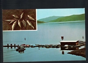 BRADLEY, CA * SAN ANTONIO LAKE ~ FISH ~ BOATING DOCK ~ CHEVRON* UNPOSTED CHROME - Picture 1 of 2