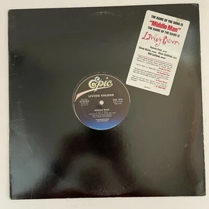 Living Colour – Middle Man Vinyl, 12" 1988 Epic – EAS1074 Promo - Picture 1 of 1