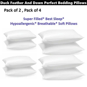 Luxury Duck Feather & Down Pillows Hotel Quality Super Soft 100% Cotton Pack 2&4 - Imagen 1 de 8