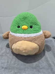 Squishmallow 12 Zoll Avery the Green Mallard Ente Plüschtier (A53) - Bild 1 von 1