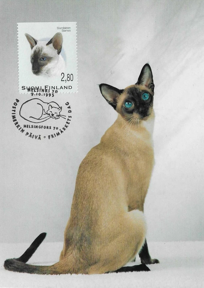 Siames Siamise Thai Cat Kitten Kiss Finland Mint FDC Maxi Card 1995  - Image 1 of 1