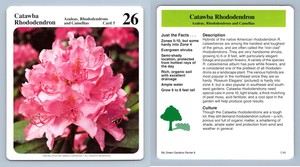 Catawa Rhododendron #5 Azaleas .. - My Green Gardens 1987 Cardmark Card