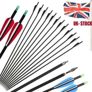 12pc Archery 30" Carbon Arrows Spine 500 for Compound Recurve Bow Hunting Target - Picture 1 of 35
