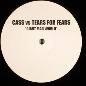 CASS vs TEARS FOR FEARS Mad World 10:45 BREAKBEAT REMIX 2003 UK W/L 12" NM - Picture 1 of 2