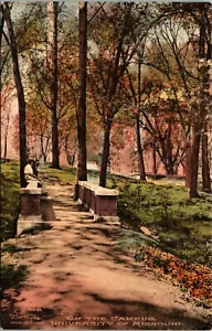 Studenten auf Bridge Campus Universität von Missouri Postkarte Albertype Co UNP DB - Bild 1 von 2