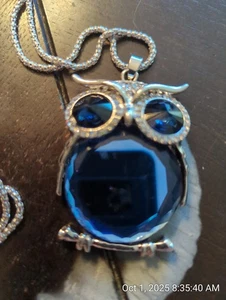SILVER OWL NECKLACE - Picture 1 of 1