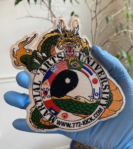 Martial Art University Taichi Dragon Circle Of Nations Embroidered Iron On Patch - Picture 1 of 2