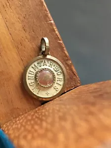 Vintage Pendentif Médaille Reliquaire Relique Dominicus Lignum Arboris - Foto 1 di 2