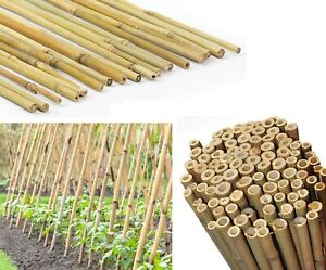 50 Thick Strong Bamboo Canes Plants Support Fencing Wood Trellis Sticks Pole 6ft