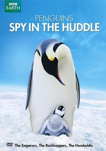 New Dvd--PENGUINS SPY IN THE HUDDLE--Free Shipping - Picture 1 of 1