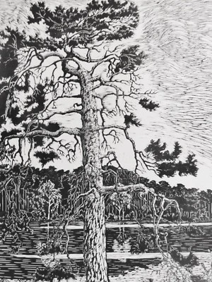 P.(Philipp-?) Gosset - großer antiker Holzschnitt 18??: DIE ALTE KIEFER / am See - Bild 1 von 4