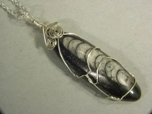 BUTW Plata Esterlina Envolvido Alambre Orthoceras Nautiloide Collar Colgante 7966C - Imagen 1 de 1