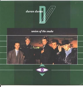 duran duran -union of the snake brazil 7" - Imagen 1 de 1