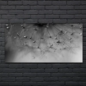 Malerei Abstrakte Löwenzahn Wassertropfen 140x70 Acrylbild Plexiglas Wandbild - Bild 1 von 8