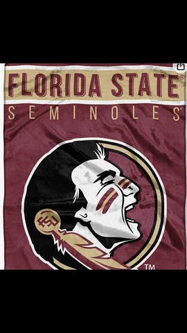NCAA Florida State Seminoles Unisex-Adult Raschel Throw Blanket, 60" x 80" Basic Cover