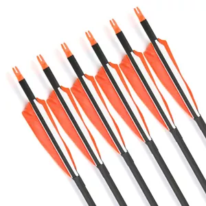 30" Carbon Arrows Turkey Feather Spine 500 Hunting Compound Recurve Bow - Picture 1 of 12